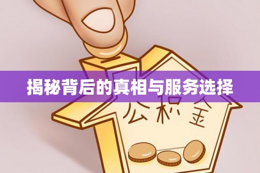 贵南揭秘背后的真相与服务选择