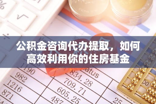 贵南公积金咨询代办提取，如何高效利用你的住房基金