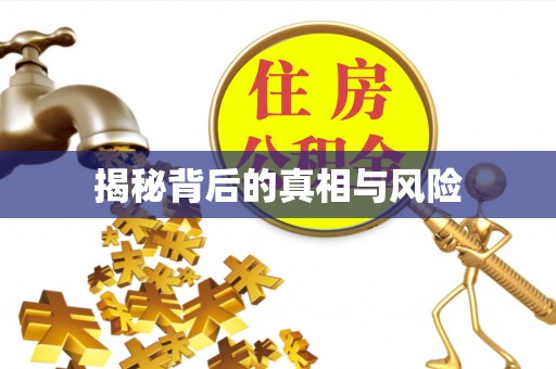 贵南揭秘背后的真相与风险