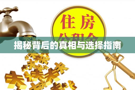 贵南揭秘背后的真相与选择指南