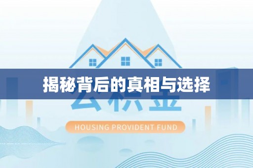 贵南揭秘背后的真相与选择