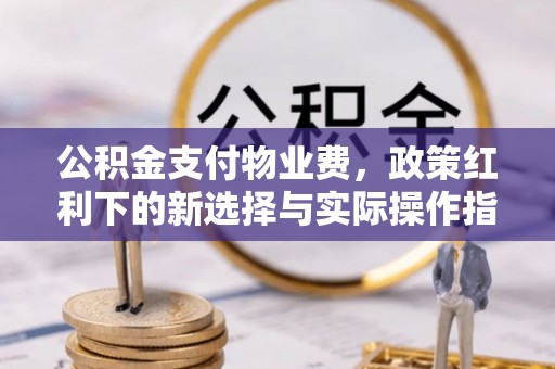 贵南公积金支付物业费，政策红利下的新选择与实际操作指南