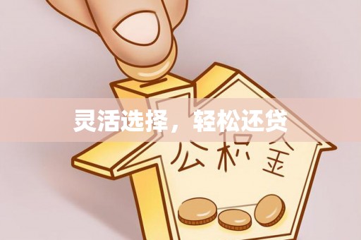 贵南灵活选择，轻松还贷
