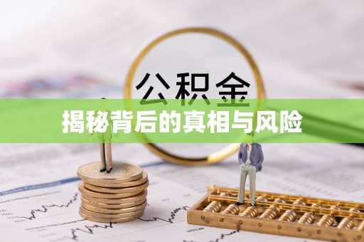 贵南揭秘背后的真相与风险