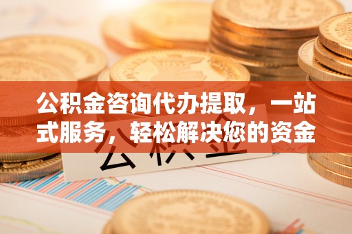 贵南公积金咨询代办提取，一站式服务，轻松解决您的资金需求