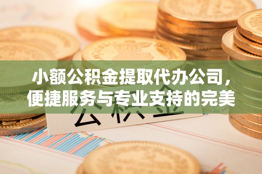 贵南小额公积金提取代办公司，便捷服务与专业支持的完美结合